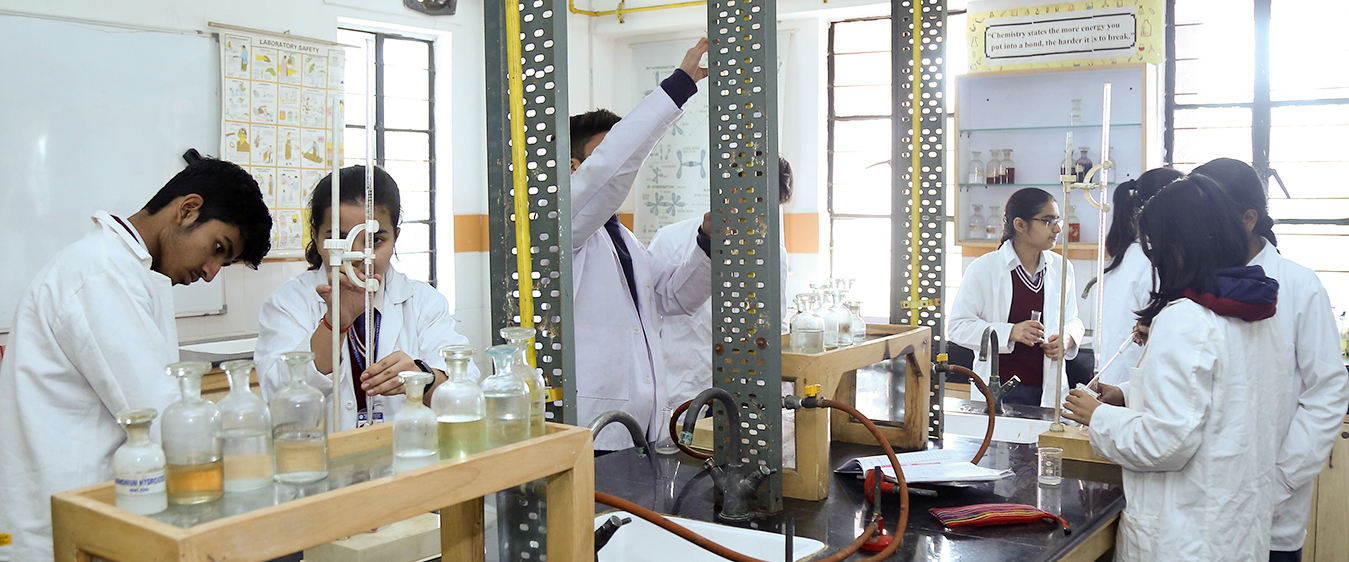 Bhavans holiday homework 08 picture